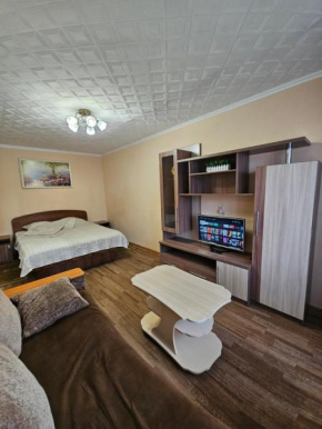 Lux Apartment on Potanina 19